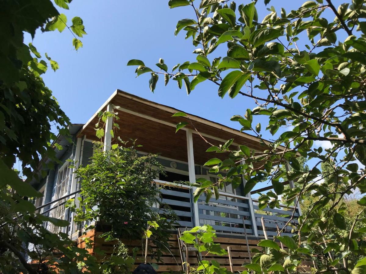 Eco Cottage Marina New Athos Esterno foto